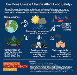 Revised foodborne illness estimates on track for late 2025