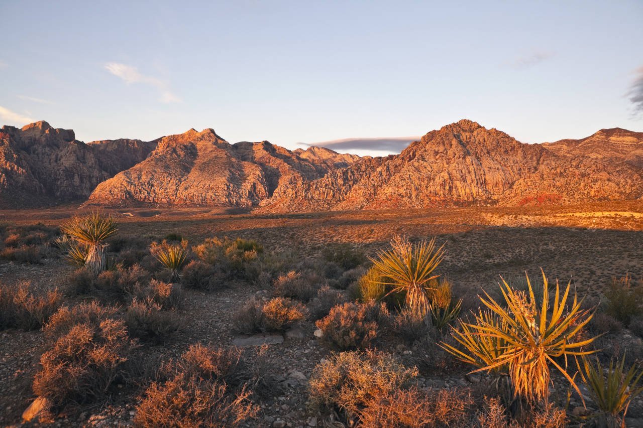 Nevada health district posts public alert related to illegal sales of raw milk