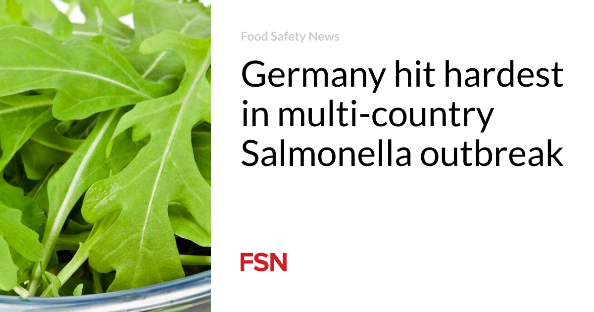 Germany hit hardest in multi-country Salmonella outbreak