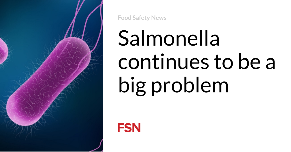 Salmonella continues to be a big problem