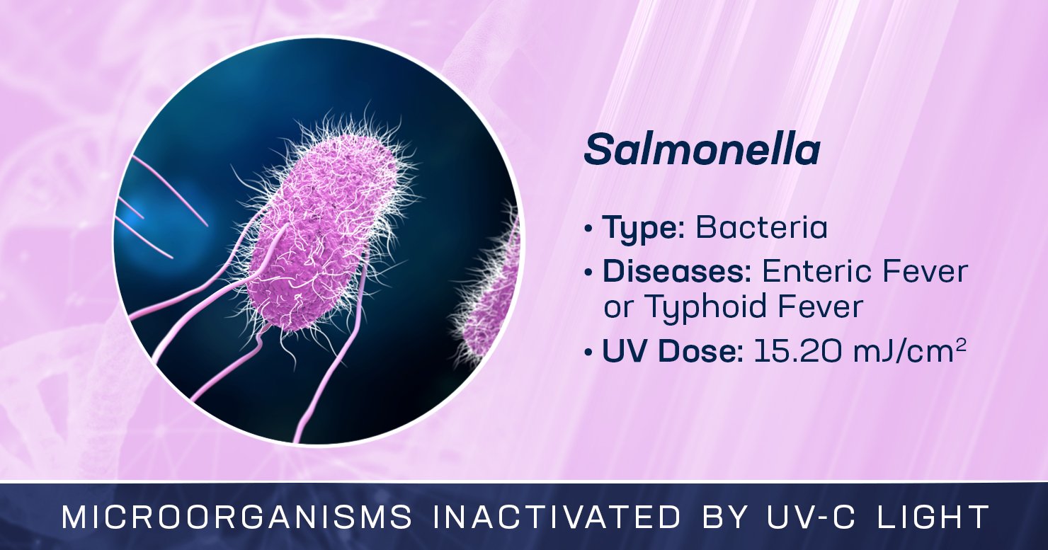 Salmonella outbreak traced to eggs; recall initiated