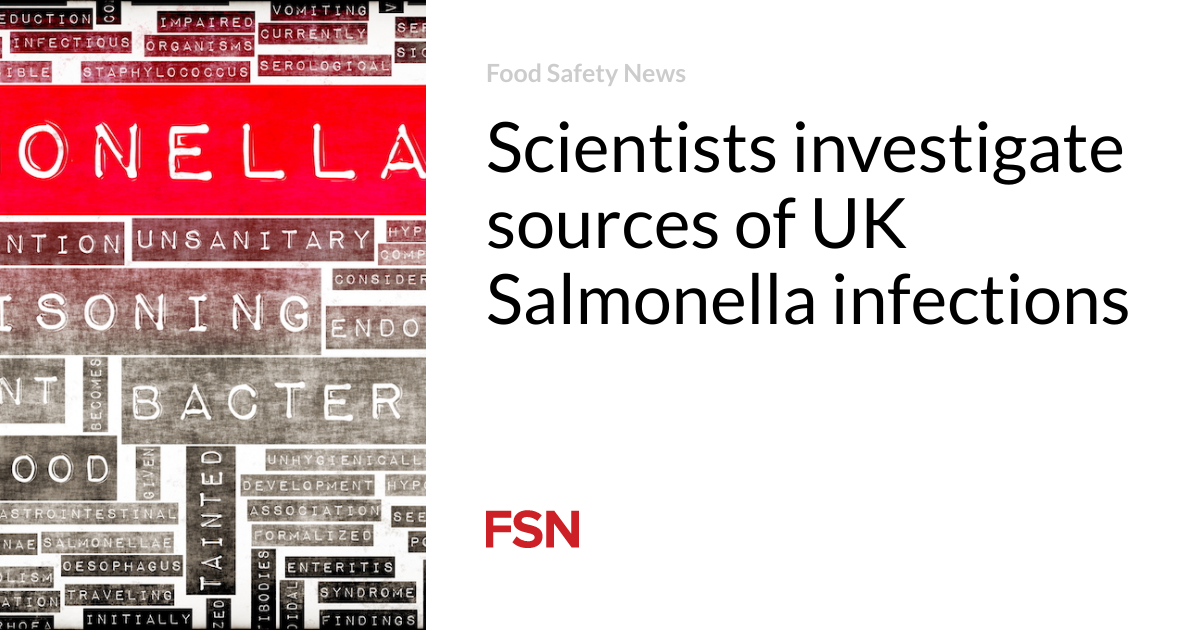 Scientists investigate sources of UK Salmonella infections