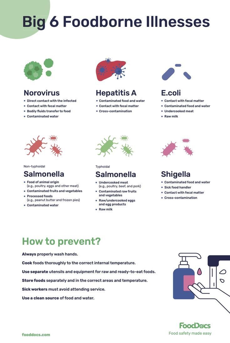 Researchers analyze the impact of the Ukraine war on foodborne pathogens